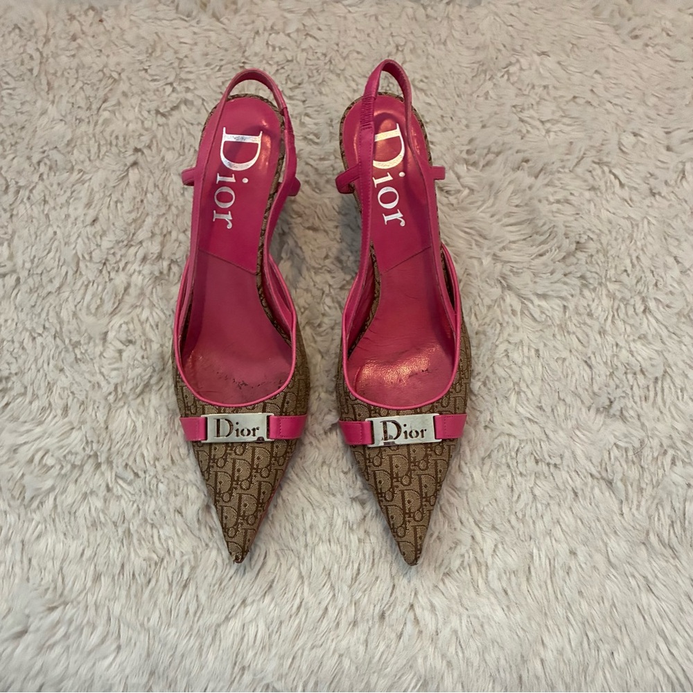 Dior Pink and Brown Heeled Shoes